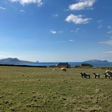 펜션 Barr Na Haille Dunquin