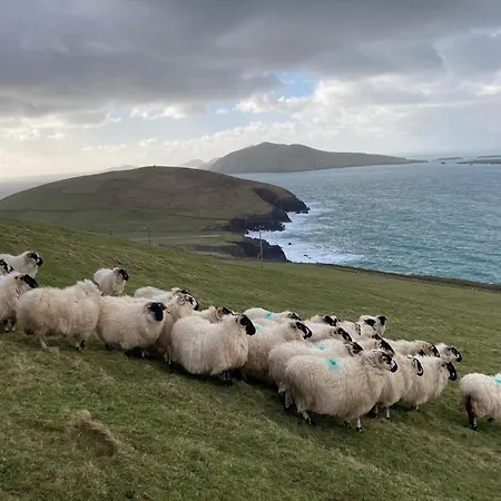 Barr Na Haille 펜션 Dunquin