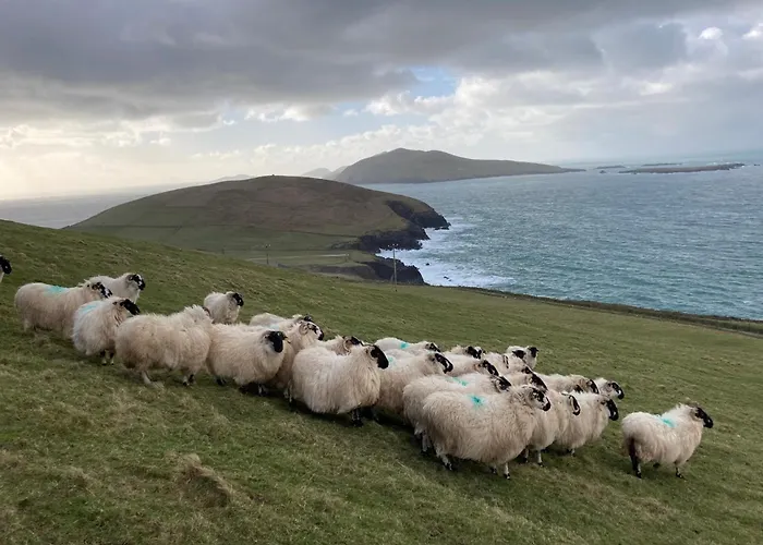 Barr Na Haille Feriehus Dunquin